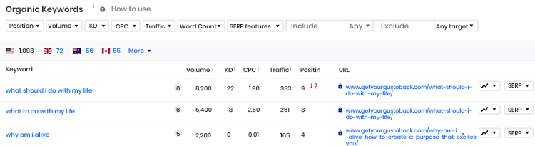 Keyword list dashboard with analytics. 