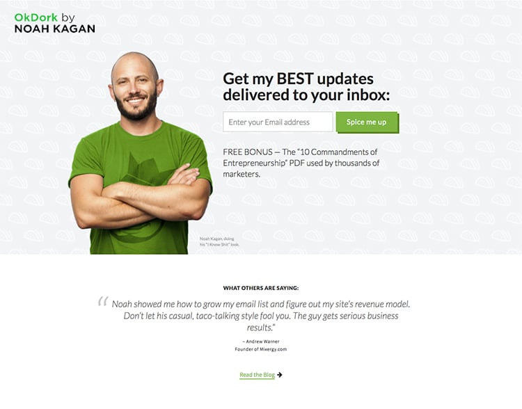 Ok Dork website squeeze page example. 