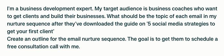 Text stating a business development expert's target audience is business coaches, with a focus on creating an email nurture sequence to guide business coaches towards scheduling a free consultation.